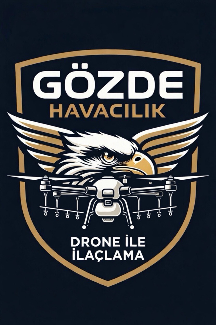 ali Ş.